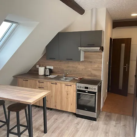 1kk Ve Zlonicich Apartment Slany