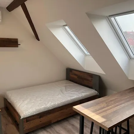 1kk Ve Zlonicich Сланы