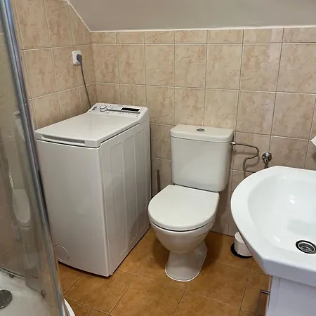 Apartment 1kk Ve Zlonicich *