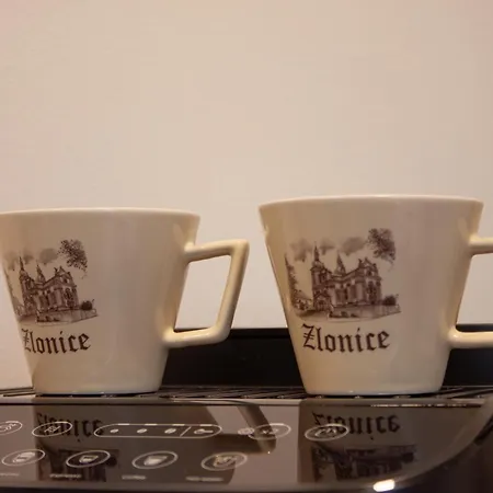 1kk Ve Zlonicích * Slaný