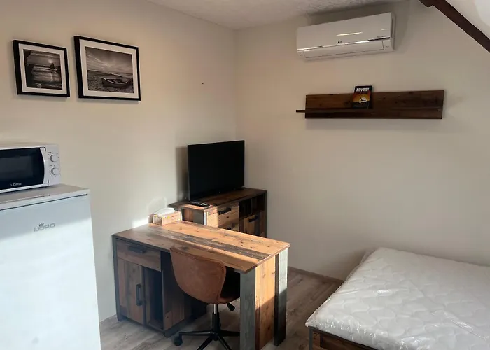 1kk Ve Zlonicich شقة