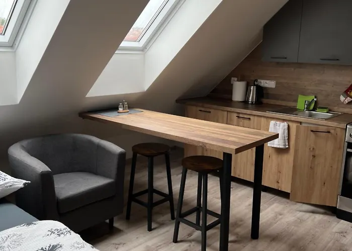 Apartament 1kk Ve Zlonicich Slaný